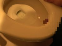 最底辺従僕シリーズ01 便器と結婚させられた雑巾男 辰神麗子女王様